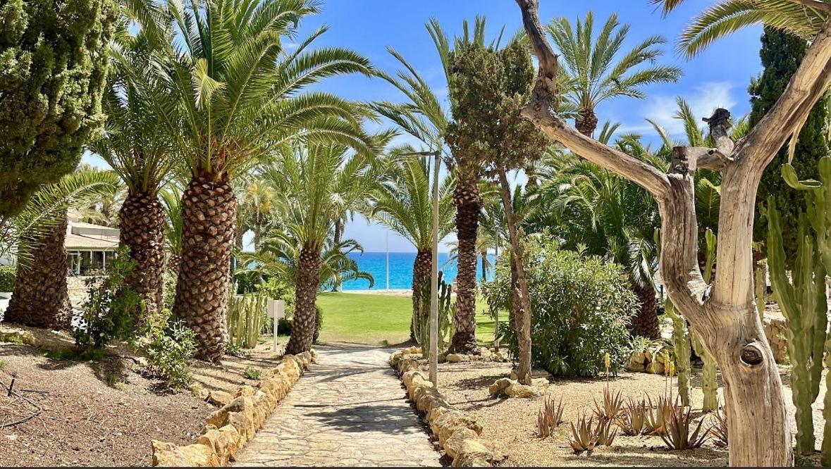 Sea Front Appartement La Vila Joiosa