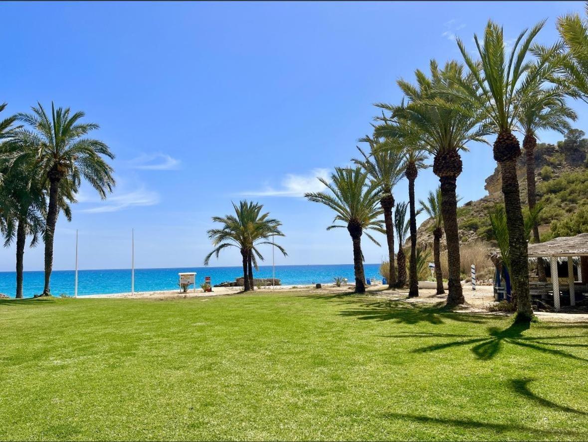 Appartement Sea Front *